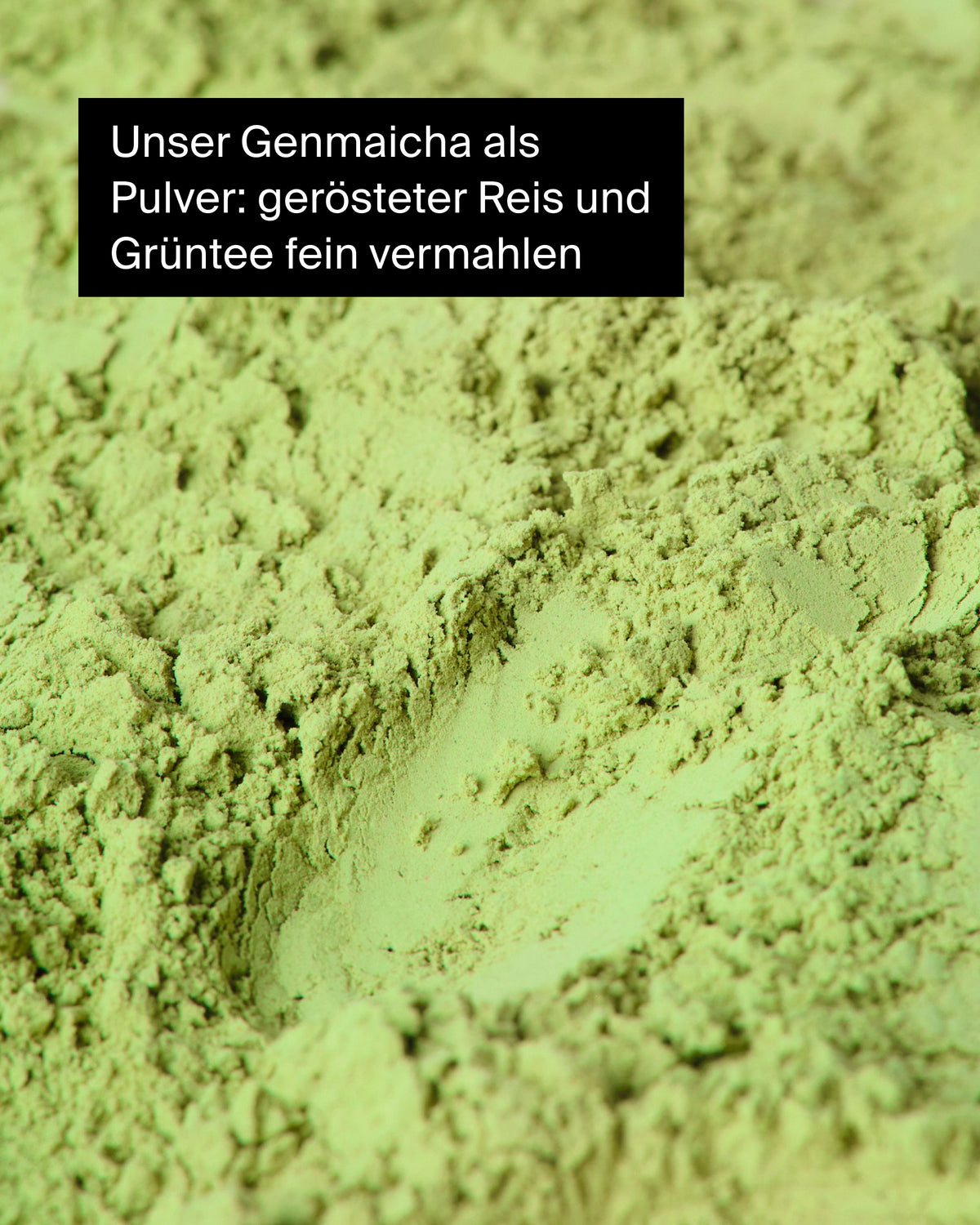 Fein gemahlenes Genmaicha-Pulver aus geröstetem Reis und grünem Tee, weiche Textur.