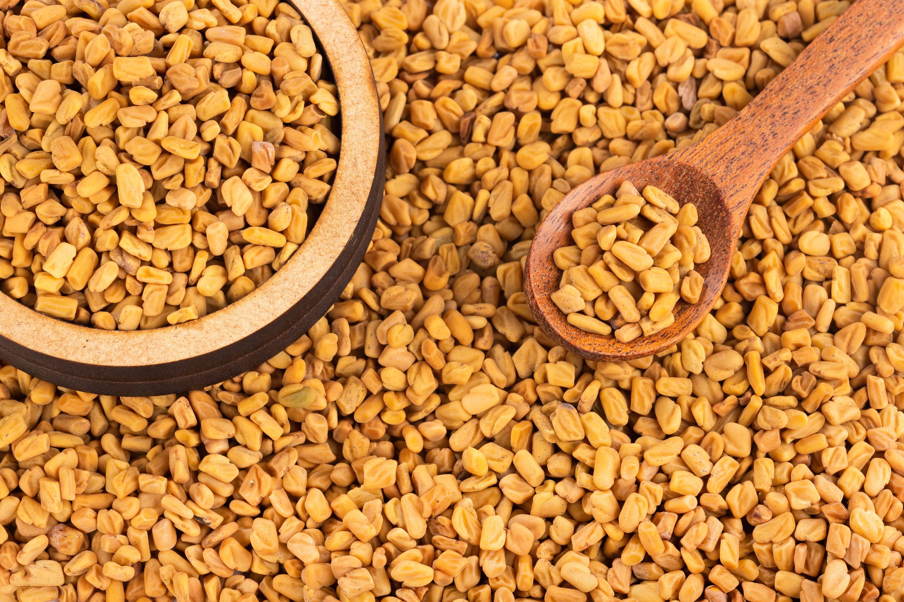 Bockshornkleesamen in Holzschale und Holzlöffel