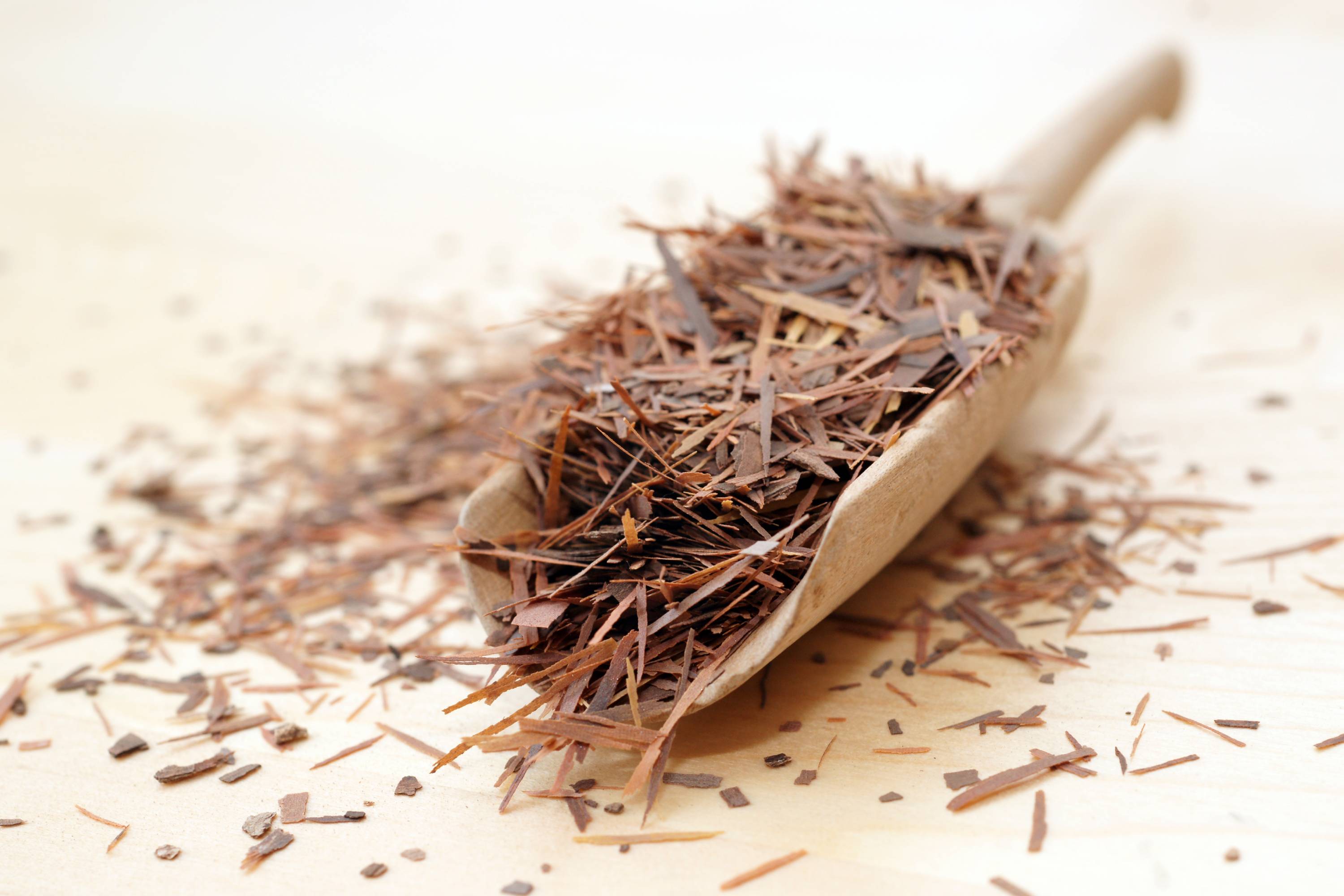 Holzlöffel mit feinem Lapacho Tee auf hellem Holztisch