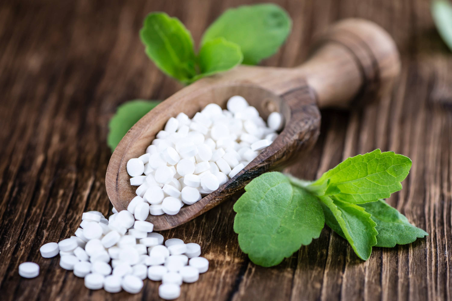 Holzlöffel mit Stevia auf Holzoberfläche neben Stevia Pflanze