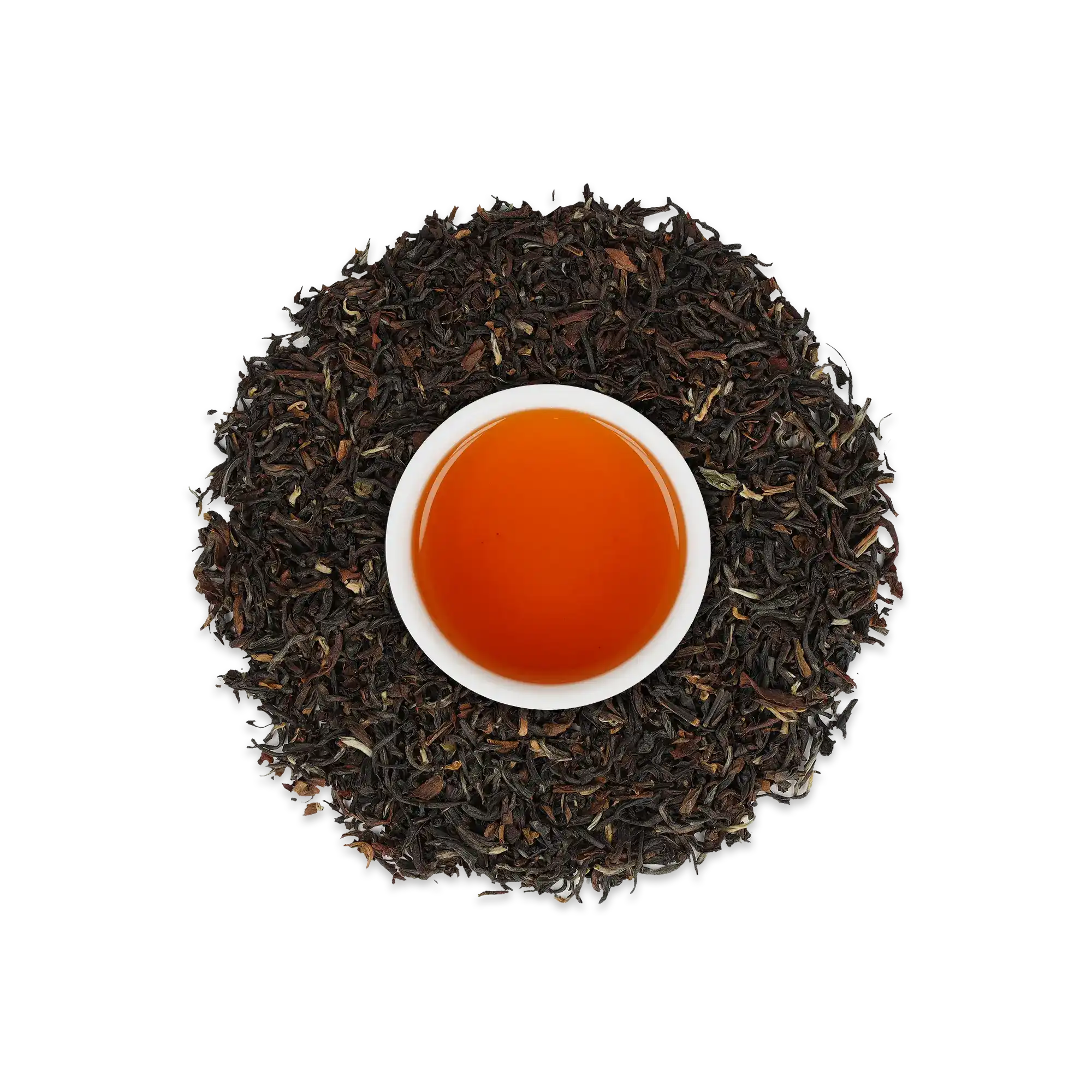 Darjeeling Muse
