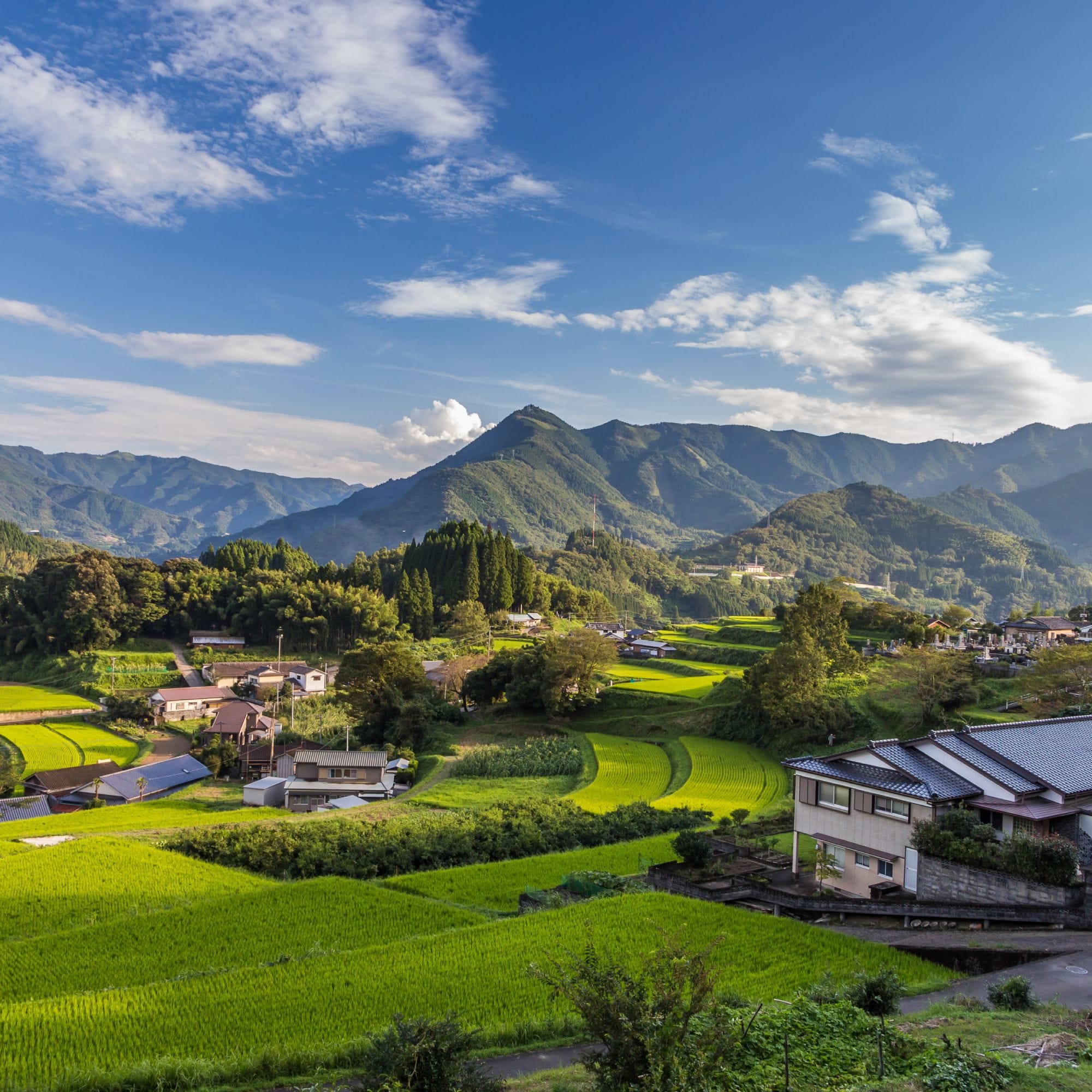 Grüne Reisterrassen mit traditionellen Häusern und Bergen unter blauem Himmel.