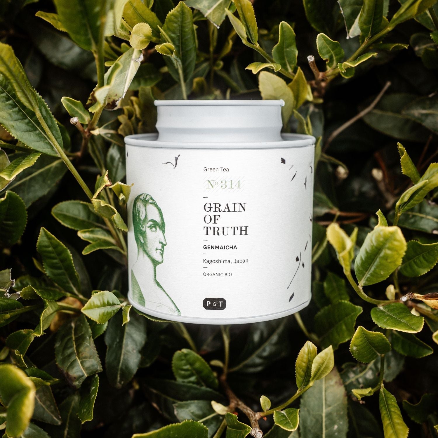 Genmaicha Grüntee Grain of Truth