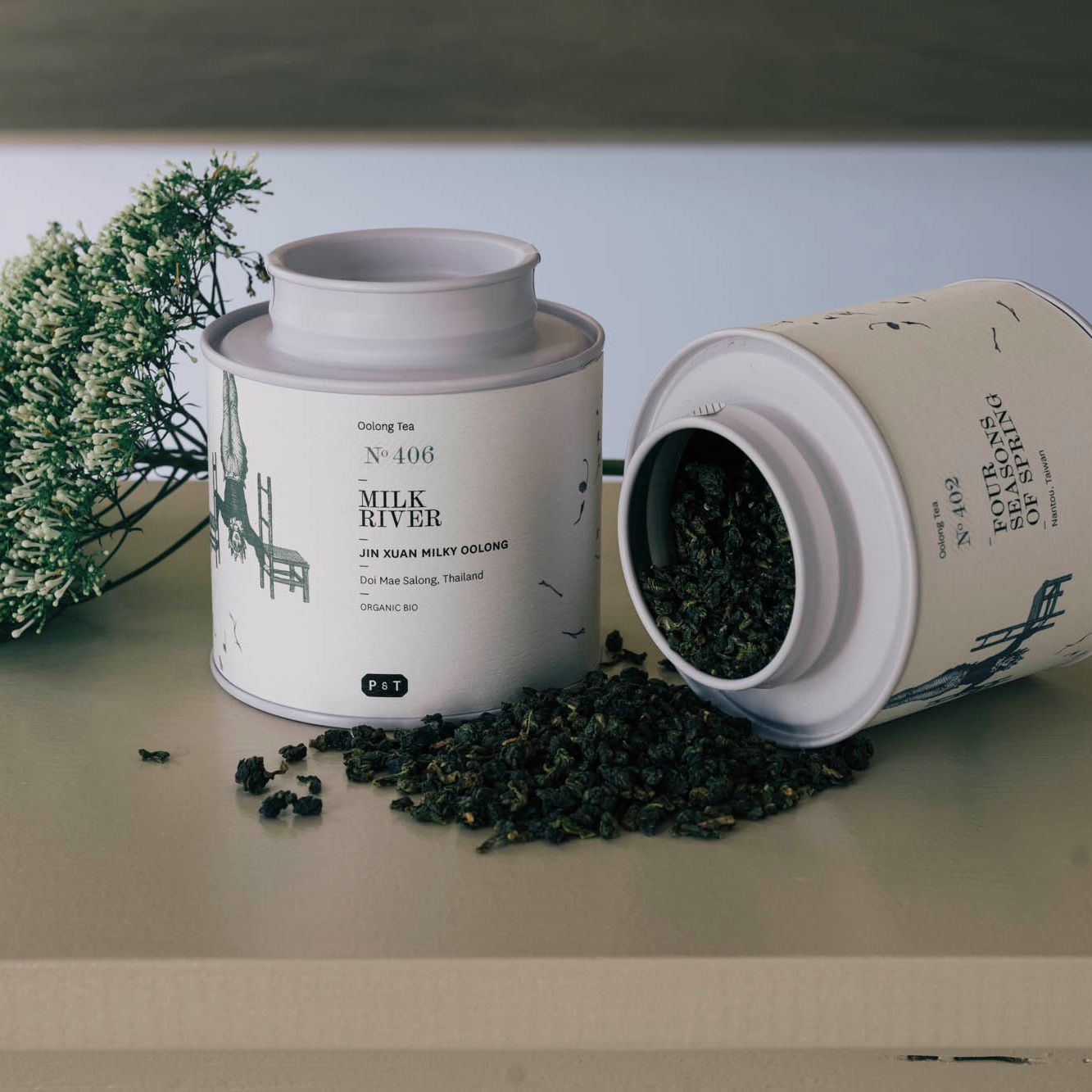 Oolong Tee Milk River
